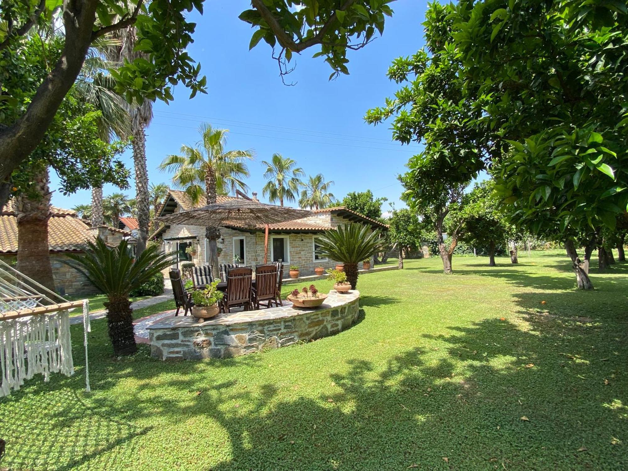 Villa Ktima Zotos Luxury Exotic 1 Agria
